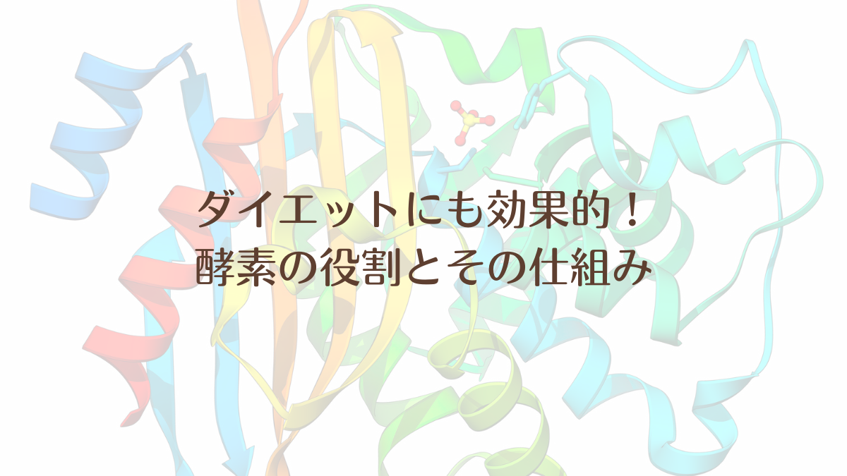 ダイエット　酵素